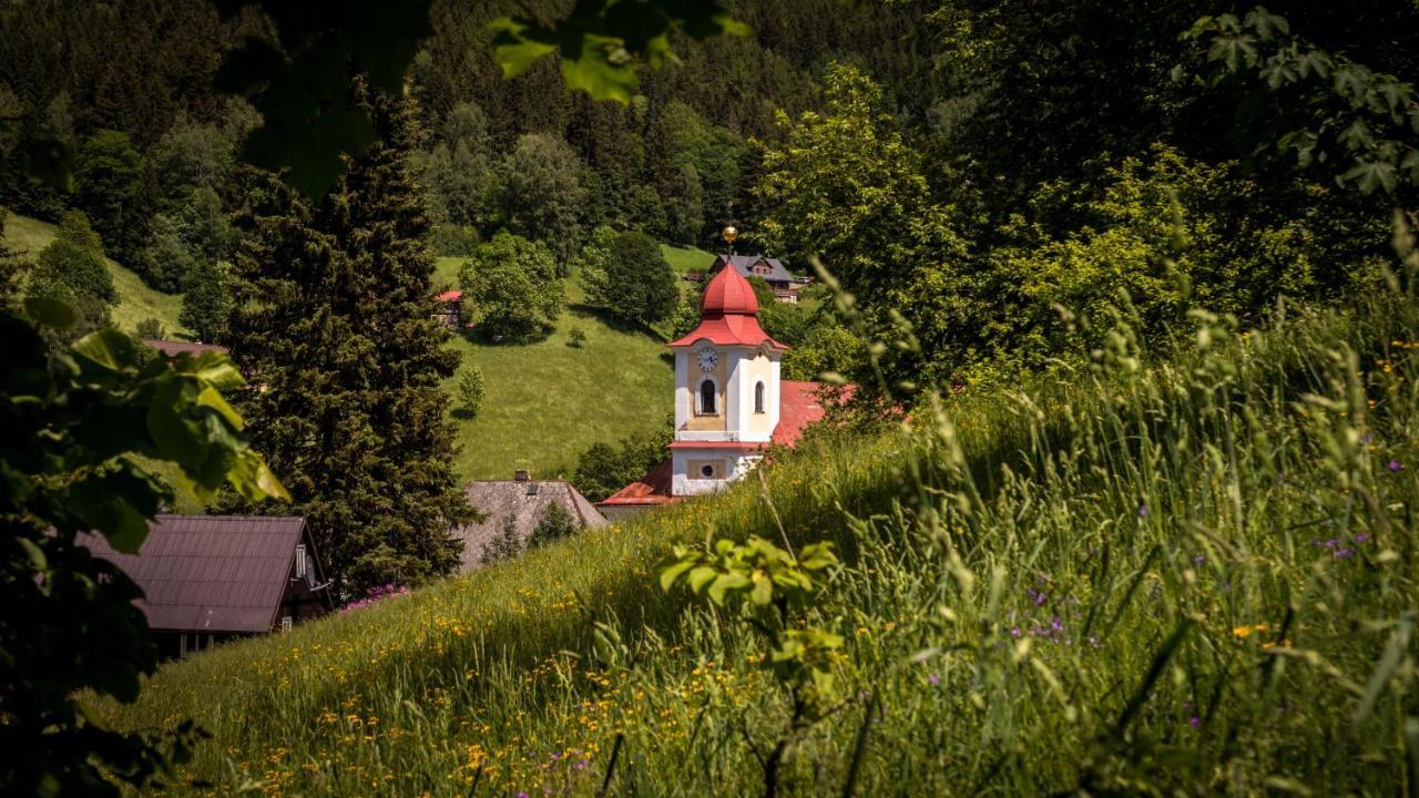 Pension U Pece Пец под Снежко Екстериор снимка