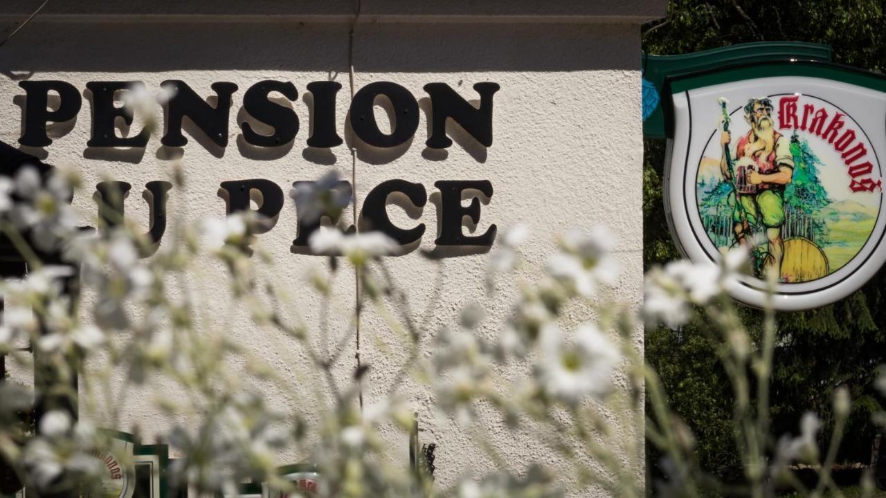 Pension U Pece Пец под Снежко Екстериор снимка